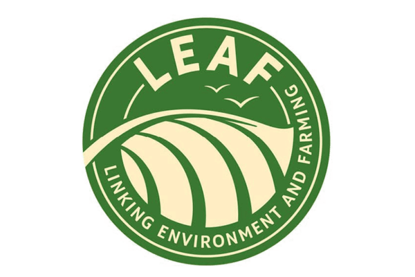 LEAF -version site internet